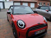 Gebraucht Mini Cooper Cabriolet Classic 136 PS (100 kW) 2023 Rot Cabrio