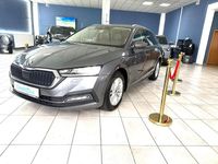 Gebraucht Skoda Octavia Ambition 150 PS (110 kW) 2023 Grau Kombi