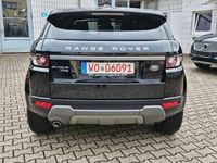 gebraucht Land Rover Range Rover evoque Xenon/LED/Navi/Kamera/Leder