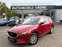 Gebraucht Mazda CX-5 Sports-Line 194 PS (142 kW) 2019 Rot SUV