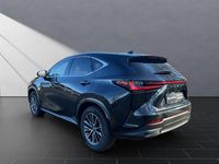 Gebraucht Lexus NX450h+ Executive Line 309 PS (227 kW) 2025 Schwarz SUV
