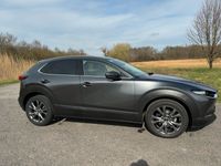 gebraucht Mazda CX-30 SKY-Na VC X, Des-P, Act-P,Bose,Leder,Garantie