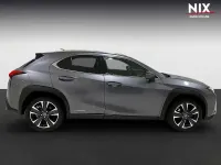 Gebraucht Lexus UX 250h 184 PS (135 kW) 2022 Grau SUV