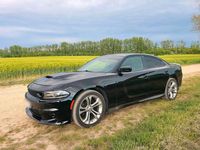 Gebraucht Dodge Charger 375 PS (275 kW) 2021 Schwarz Limousine