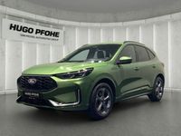 Gebraucht Ford Kuga ST-Line X 186 PS (136 kW) 2024 Bursting green SUV