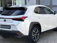 Gebraucht Lexus UX 250h 184 PS (135 kW) 2022 Weiß SUV