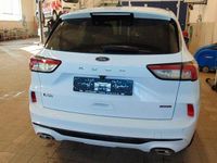 Gebraucht Ford Kuga ST-Line 152 PS (111 kW) 2022 Weiß SUV