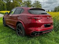 gebraucht Alfa Romeo Stelvio 2.9 Bi-T. V6 375kW Quadrifoglio AT8-...