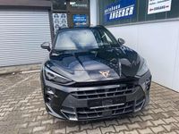 Gebraucht Cupra Terramar 204 PS (150 kW) 2025 Midnight black metallic SUV