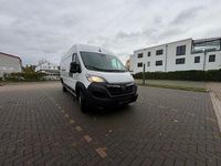 Gebraucht Opel Movano 165 PS (121 kW) 2024 Weiß Van