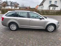 Gebraucht Skoda Octavia Ambition 150 PS (110 kW) 2019 Cappuccinobeige metallic Kombi