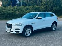 Gebraucht Jaguar F-Pace 300 PS (220 kW) 2016 Weiß SUV