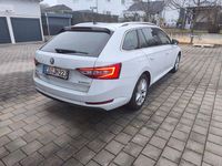 Gebraucht Skoda Superb 190 PS (139 kW) 2019 Weiß Limousine