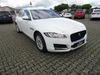Gebraucht Jaguar XF Pure 180 PS (132 kW) 2019 Weiß Limousine