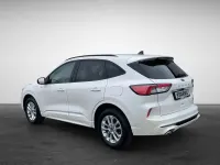 Gebraucht Ford Kuga ST-Line 152 PS (111 kW) 2023 Weiß SUV