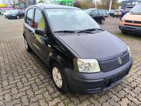 Usata Fiat Panda Active 54 CV (39 kW) 2009 Nero Utilitaria