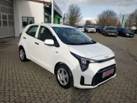 Neu Kia Picanto 68 PS (50 kW) 2025 Weiß Kleinwagen