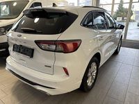 Gebraucht Ford Kuga ST-Line X 190 PS (139 kW) 2023 Weiß SUV