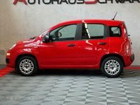 Gebraucht Fiat Panda Easy 69 PS (50 kW) 2020 (bartolini rot) Kleinwagen