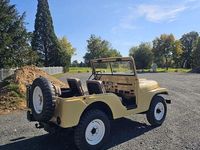 Gebraucht Jeep Willys 72 PS (52 kW) 1954 Beige SUV