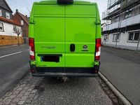 Gebraucht Fiat Ducato 177 PS (130 kW) 2018 Grün Van