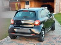 Gebraucht Smart ForFour Electric Drive 60 kW (82 PS) 2019 Schwarz Kleinwagen