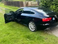 Gebraucht Audi A5 Sportback 190 PS (139 kW) 2016 Schwarz Kleinwagen