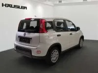 Gebraucht Fiat Panda 70 PS (51 kW) 2024 Weiss Kleinwagen