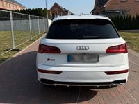 Gebraucht Audi SQ5 Comfort 363 PS (266 kW) 2019 Weiß SUV