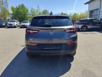 Gebraucht Opel Grandland X Edition 131 PS (96 kW) 2020 Mondstein grau/e:vulkan grau SUV