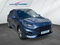 Gebraucht Ford Kuga ST-Line X 150 PS (110 kW) 2024 Blau SUV