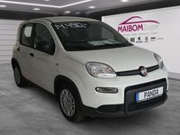 Gebraucht Fiat Panda 69 PS (50 kW) 2024 Weiß Limousine