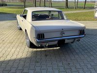 Gebraucht Ford V8 209 PS (153 kW) 1965 Weiß