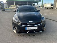 Gebraucht Kia ProCeed GT-Line 160 PS (117 kW) 2024 Schwarz Limousine