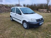Gebraucht Fiat Panda 55 PS (40 kW) 2009 Weiß Kleinwagen