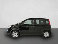 Gebraucht Fiat Panda 69 PS (50 kW) 2024 Schwarz Limousine