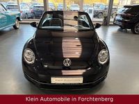 Gebraucht VW Beetle Cabriolet Design 105 PS (77 kW) 2013 Schwarz Cabrio