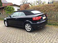 gebraucht Audi A3 Cabriolet A3 1.6 TDI DPF Ambition