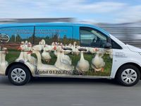 Gebraucht Mercedes Vito 114 PS (83 kW) 2016 Weiß Van