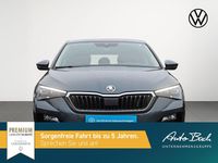 Gebraucht Skoda Scala Clever 150 PS (110 kW) 2021 Grau Kleinwagen
