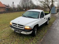 Gebraucht Dodge Dakota 120 PS (88 kW) 1998 Weiß Abholung