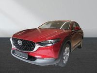 Gebraucht Mazda CX-30 Homura-Line 140 PS (102 kW) 2024 Rot SUV