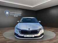 Gebraucht Skoda Octavia Clever 150 PS (110 kW) 2022 Candyweiß Kombi
