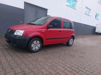 Gebraucht Fiat Panda 55 PS (40 kW) 2009 Rot Kleinwagen