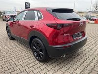 Neu Mazda CX-30 186 PS (136 kW) 2025 Rot SUV
