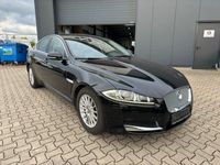 gebraucht Jaguar XF 2,2 Diesel Facelift Leder Xenon uvm