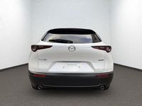 Neu Mazda CX-30 Homura-Line 140 PS (102 kW) 2026 Weiss SUV