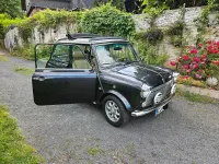 Gebraucht Rover Mini 1996 Grau Kleinwagen