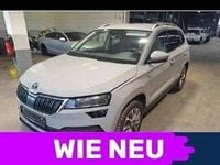 Gebraucht Skoda Karoq Clever 150 PS (110 kW) 2021 Steel grau SUV