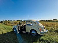 Gebraucht VW Käfer 44 PS (32 kW) 1971